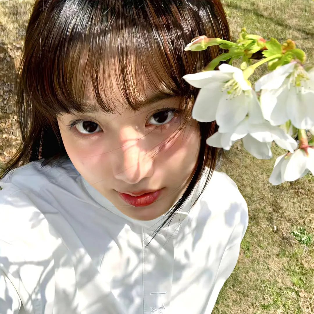 姐妹会大屠杀